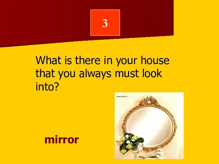 3 What is there in your house that you always must look into? mirror