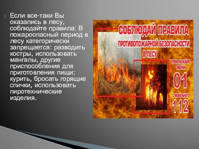 Если все-таки Вы оказались в лесу, соблюдайте правила: В пожароопасный