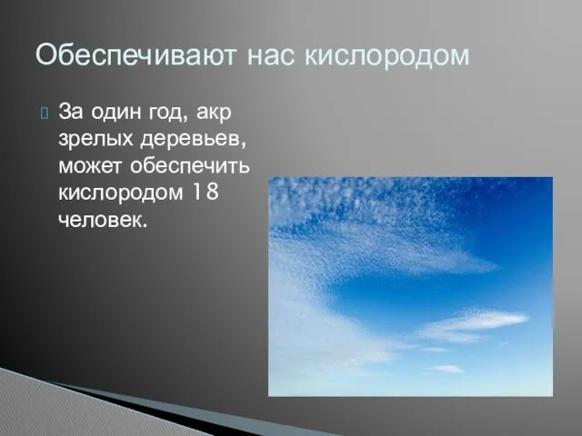 За один год, акр зрелых деревьев, может обеспечить кислородом 18 человек. Обеспечивают нас кислородом