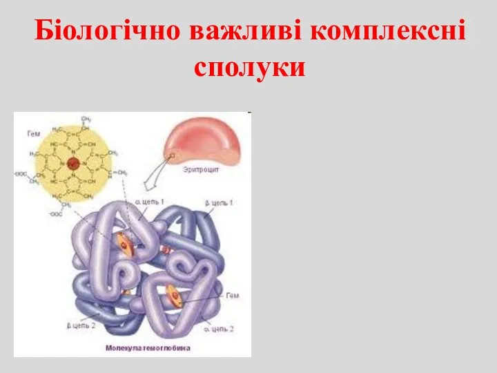 Біологічно важливі комплексні сполуки