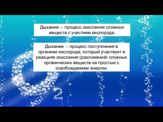 Дыхание — процесс окисления сложных веществ с участием кислорода. Дыхание