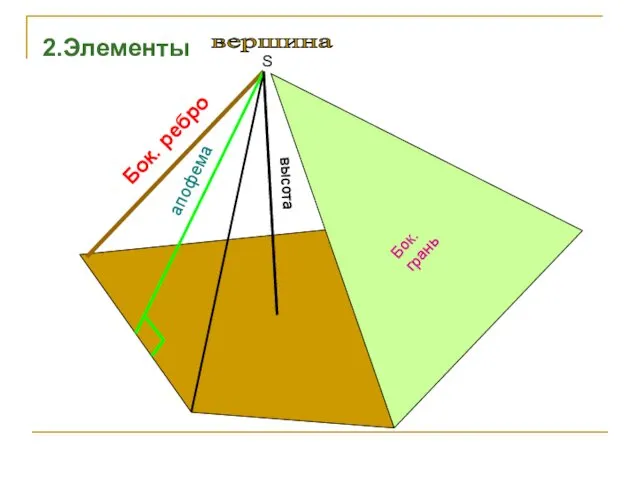 S вершина высота апофема Бок. грань 2.Элементы Бок. ребро