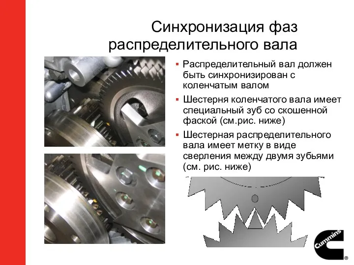 Синхронизация фаз распределительного вала Распределительный вал должен быть синхронизирован с коленчатым валом Шестерня