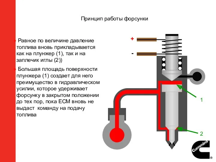 + - Равное по величине давление топлива вновь прикладывается как на плунжер (1),