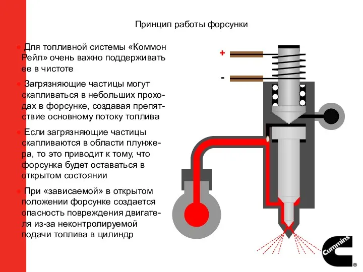 + - Для топливной системы «Коммон Рейл» очень важно поддерживать ее в чистоте