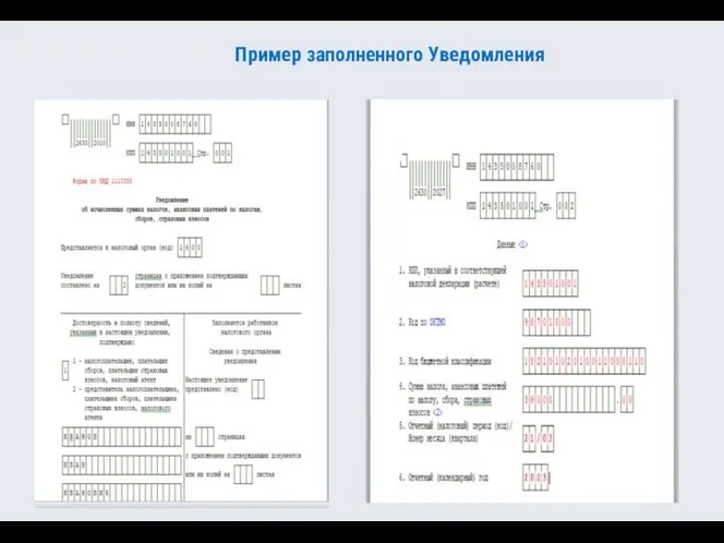 Пример заполненного Уведомления