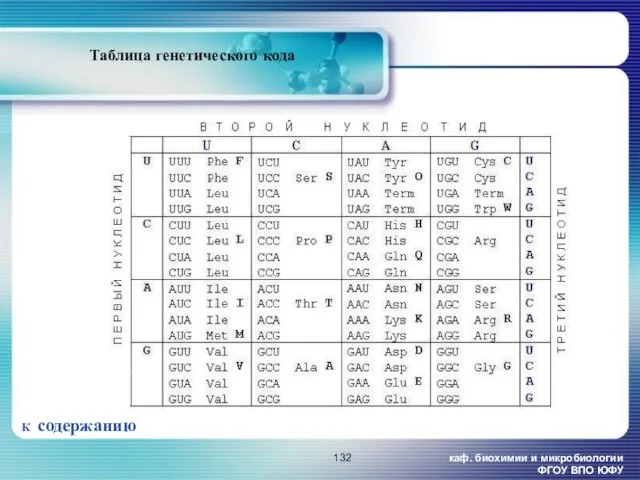 каф. биохимии и микробиологии ФГОУ ВПО ЮФУ Таблица генетического кода К содержанию