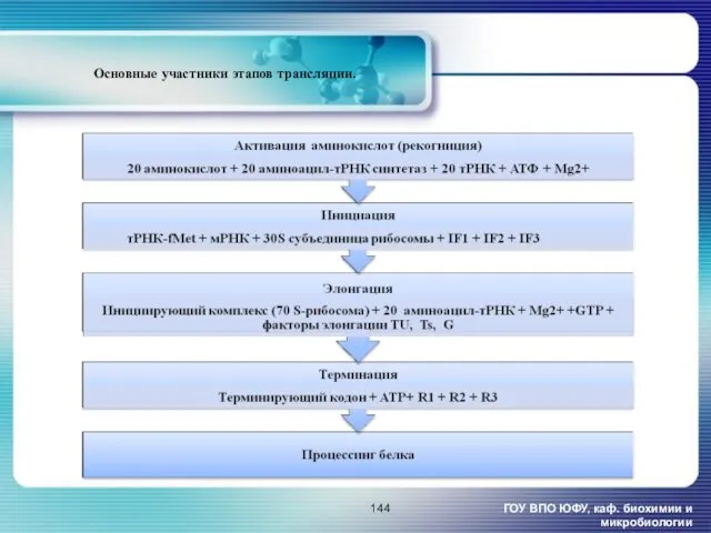 Основные участники этапов трансляции. ГОУ ВПО ЮФУ, каф. биохимии и микробиологии