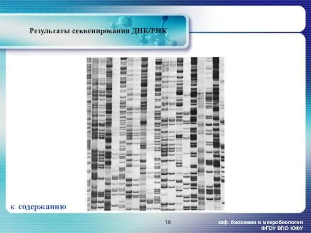 каф. биохимии и микробиологии ФГОУ ВПО ЮФУ Результаты секвенирования ДНК/РНК К содержанию