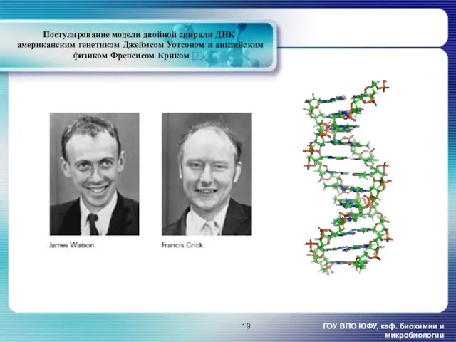 Постулирование модели двойной спирали ДНК американским генетиком Джеймсом Уотсоном и