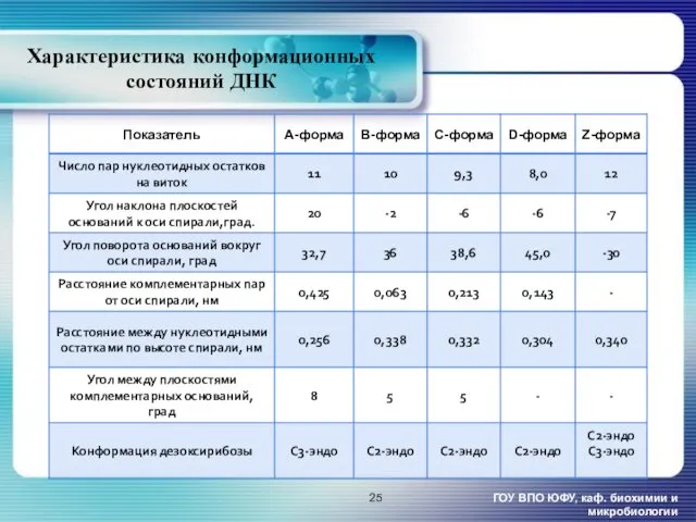 Характеристика конформационных состояний ДНК ГОУ ВПО ЮФУ, каф. биохимии и микробиологии