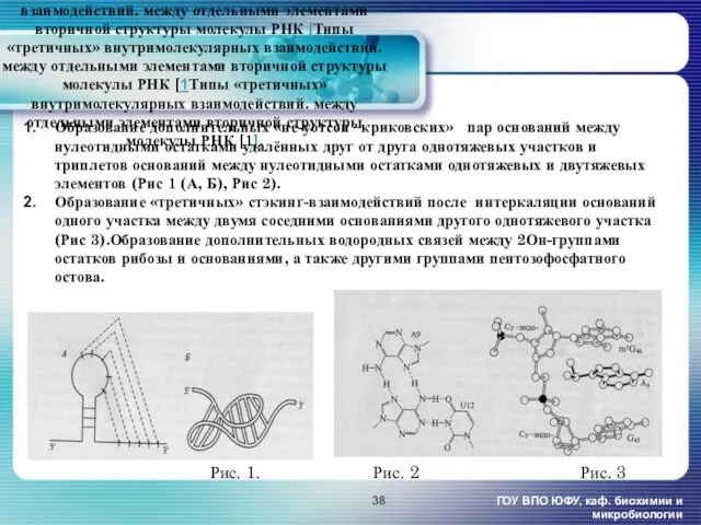 Типы «третичных» внутримолекулярных взаимодействий. между отдельными элементами вторичной структуры молекулы