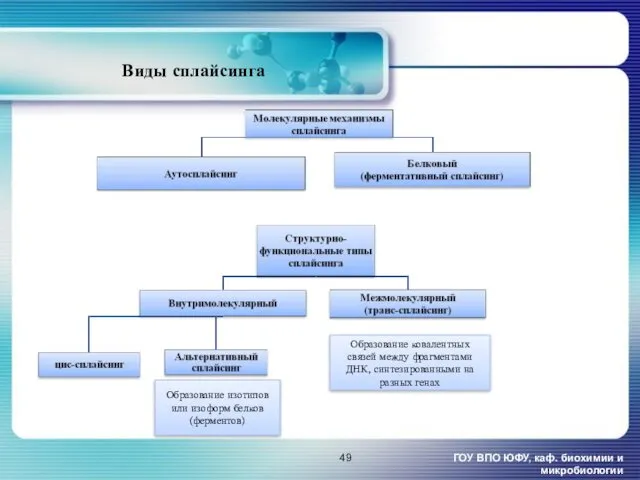 ГОУ ВПО ЮФУ, каф. биохимии и микробиологии Виды сплайсинга Образование