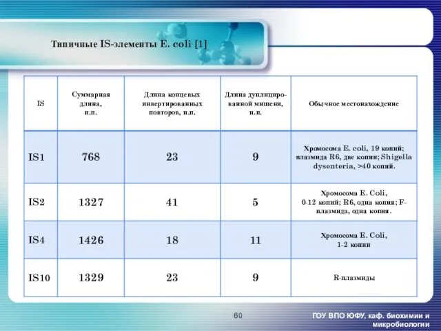 Типичные IS-элементы E. coli [1] ГОУ ВПО ЮФУ, каф. биохимии и микробиологии