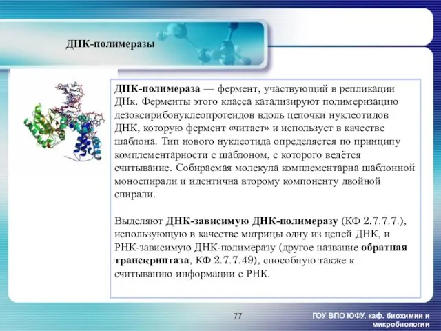 ДНК-полимеразы ГОУ ВПО ЮФУ, каф. биохимии и микробиологии ДНК-полимераза —