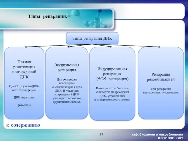 каф. биохимии и микробиологии ФГОУ ВПО ЮФУ Типы репарации. К