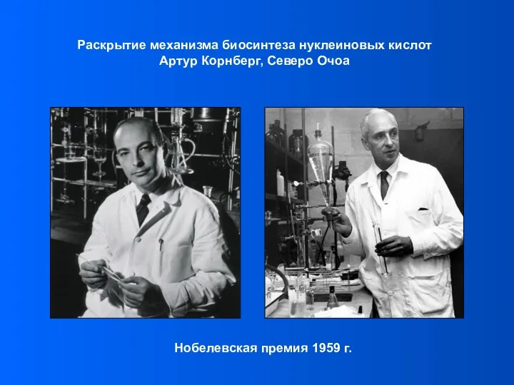 Раскрытие механизма биосинтеза нуклеиновых кислот Артур Корнберг, Северо Очоа Нобелевская премия 1959 г.