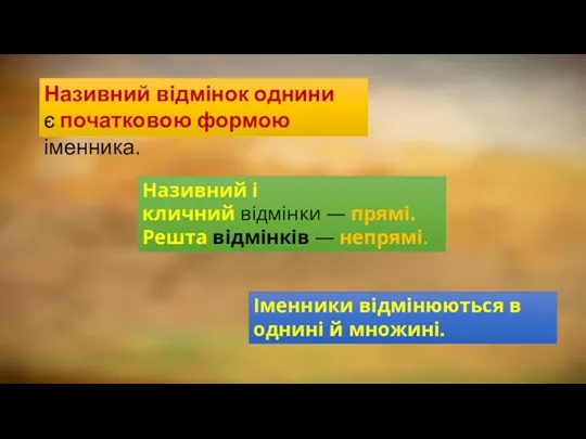 Називний відмінок однини є початковою формою іменника. Називний і кличний