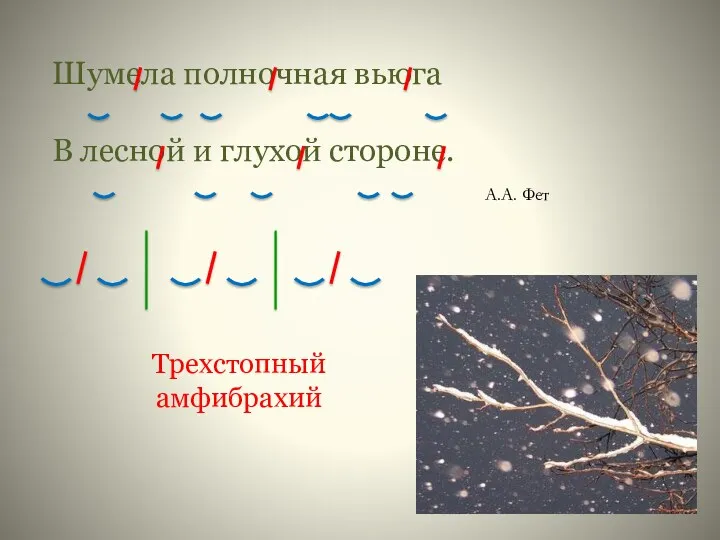 Шумела полночная вьюга В лесной и глухой стороне. А.А. Фет Трехстопный амфибрахий