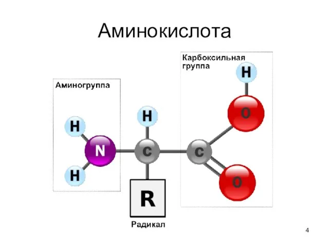 Аминокислота