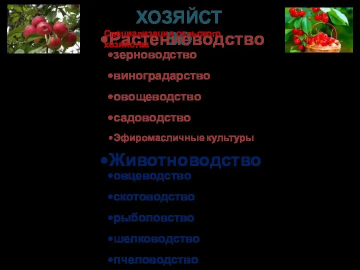 ХОЗЯЙСТВО Растениеводство зерноводство виноградарство овощеводство садоводство Эфиромасличные культуры Животноводство овцеводство