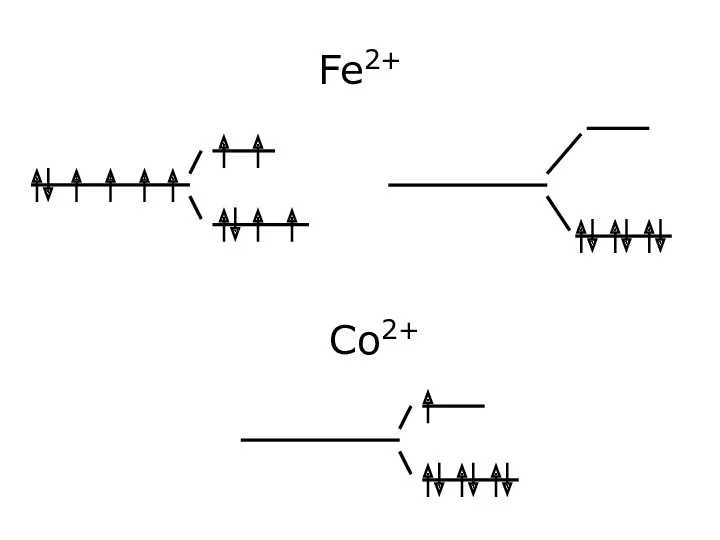 Fe2+ Co2+