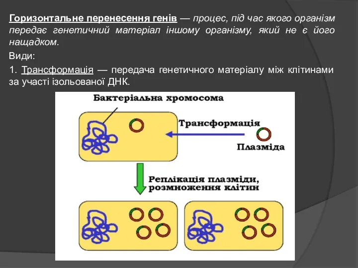 Горизонтальне перенесення генів — процес, під час якого організм передає