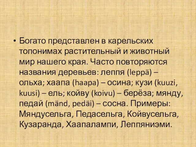 Богато представлен в карельских топонимах растительный и животный мир нашего