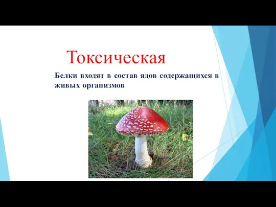 Токсическая Белки входят в состав ядов содержащихся в живых организмов