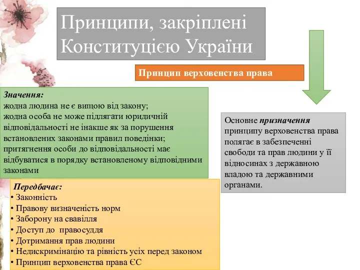 Принципи, закріплені Конституцією України Принцип верховенства права Значення: жодна людина
