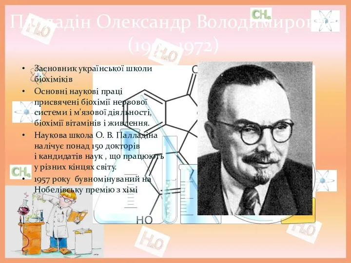 Палладін Олександр Володимирович (1995-1972) Засновник української школи біохіміків Основні наукові