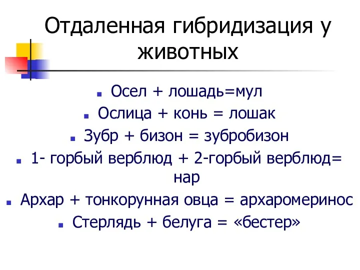 Отдаленная гибридизация у животных Осел + лошадь=мул Ослица + конь