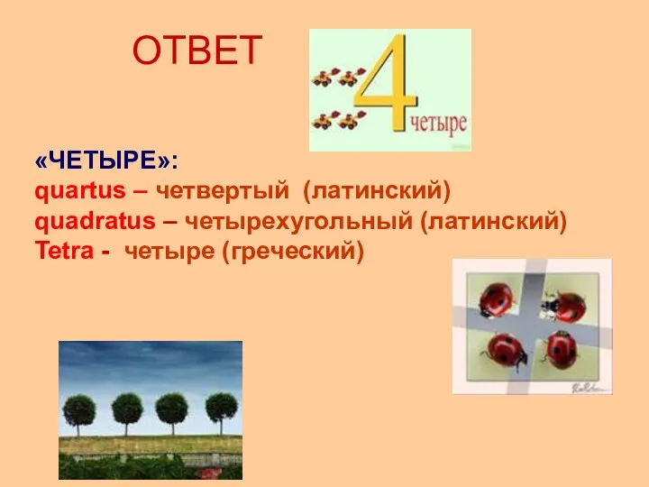 ОТВЕТ «ЧЕТЫРЕ»: quartus – четвертый (латинский) quadratus – четырехугольный (латинский) Tetra - четыре (греческий)