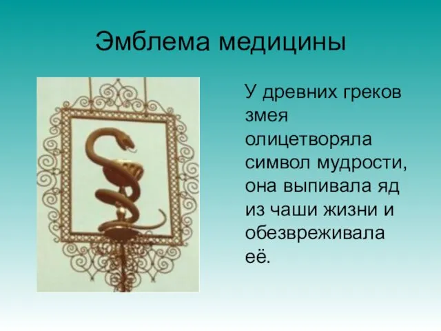 Эмблема медицины У древних греков змея олицетворяла символ мудрости, она