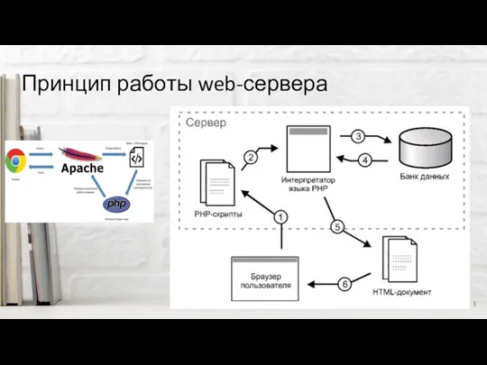 Принцип работы web-сервера