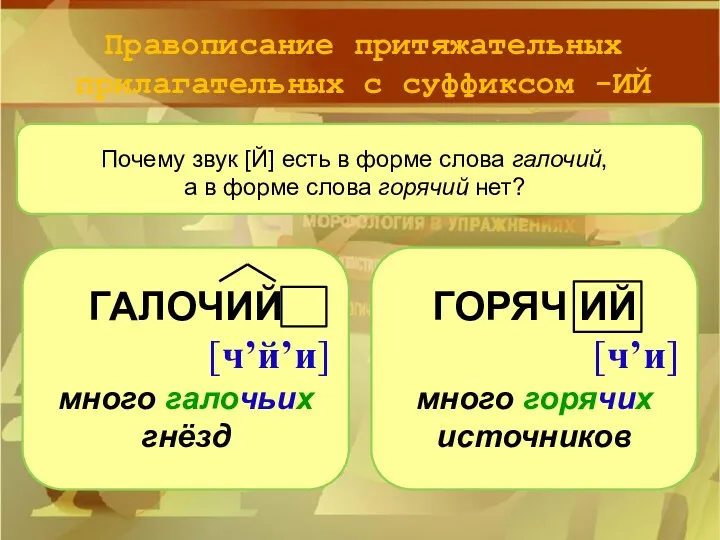 Правописание притяжательных прилагательных с суффиксом -ИЙ Почему звук [Й] есть