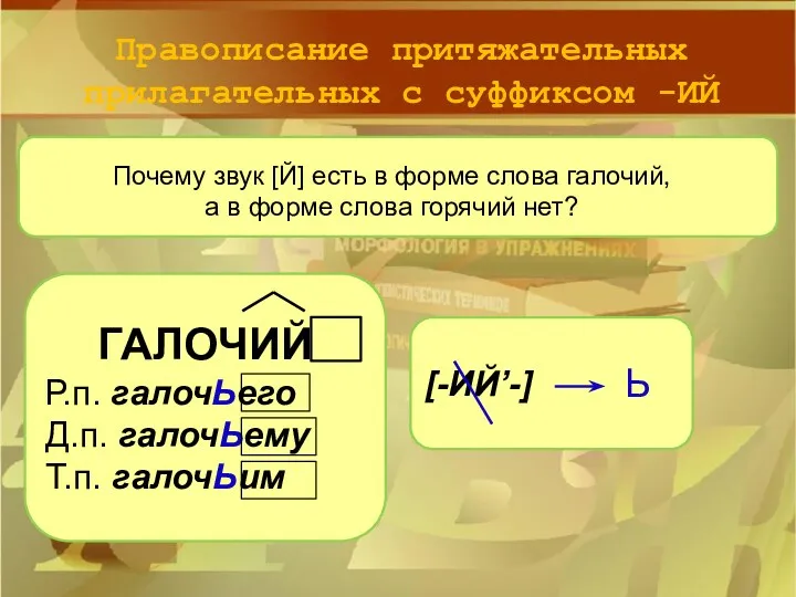 Правописание притяжательных прилагательных с суффиксом -ИЙ Почему звук [Й] есть