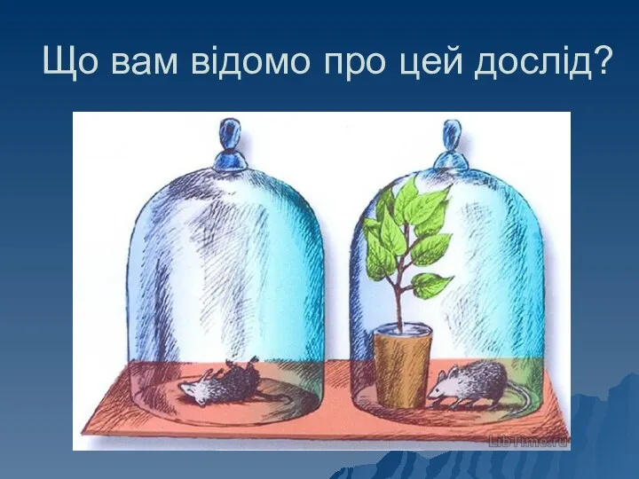 Що вам відомо про цей дослід?