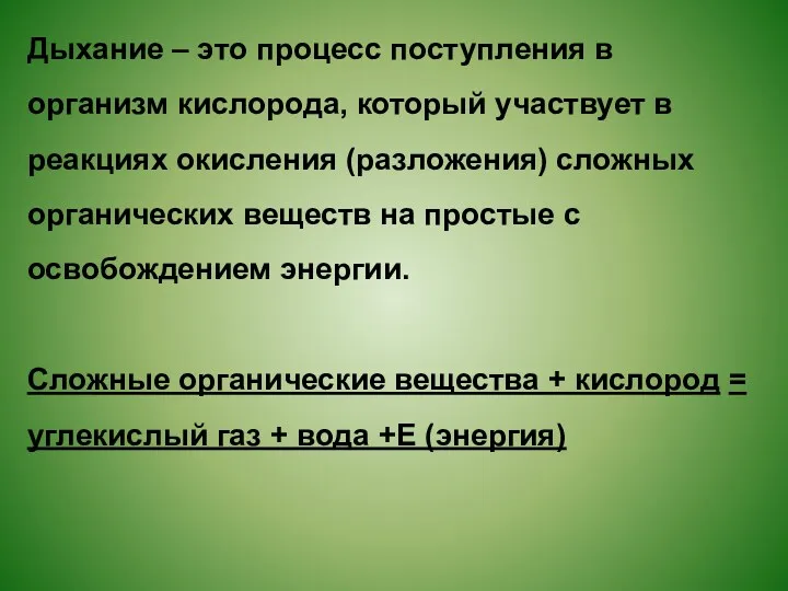 Дыхание – это процесс поступления в организм кислорода, который участвует