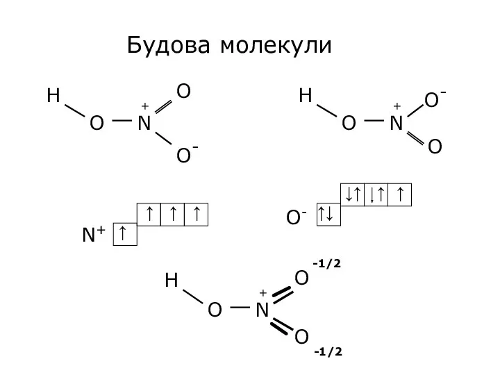 Будова молекули