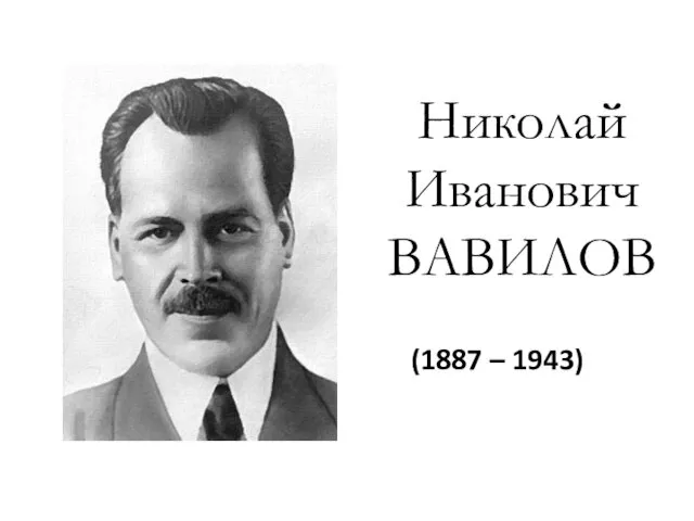 Николай Иванович ВАВИЛОВ (1887 – 1943)