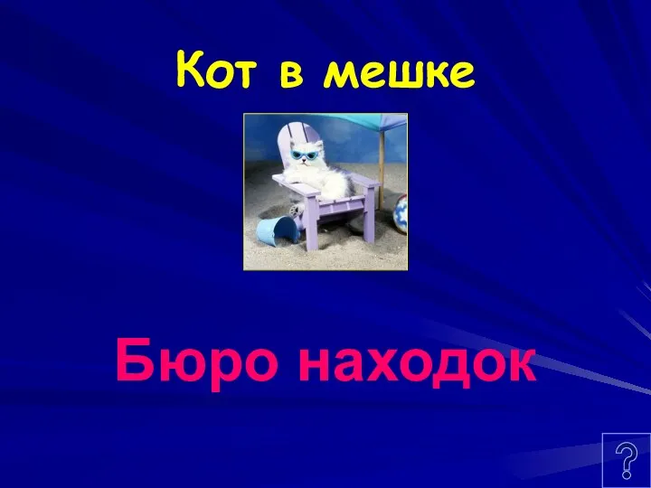 Кот в мешке Бюро находок