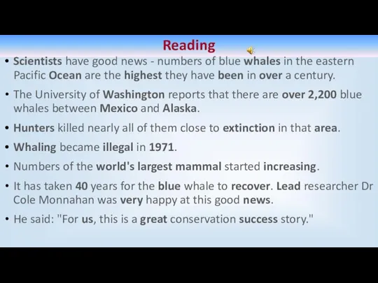 Reading Scientists have good news - numbers of blue whales