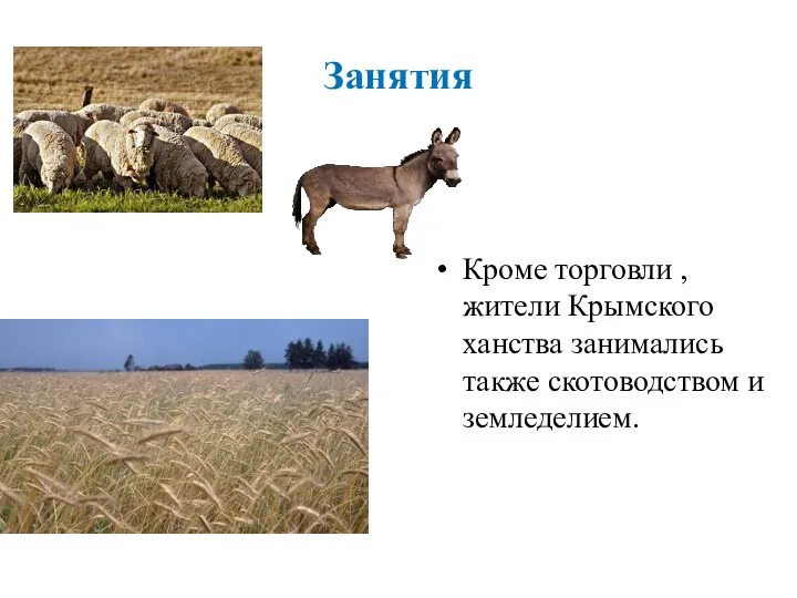 Занятия Кроме торговли , жители Крымского ханства занимались также скотоводством и земледелием.