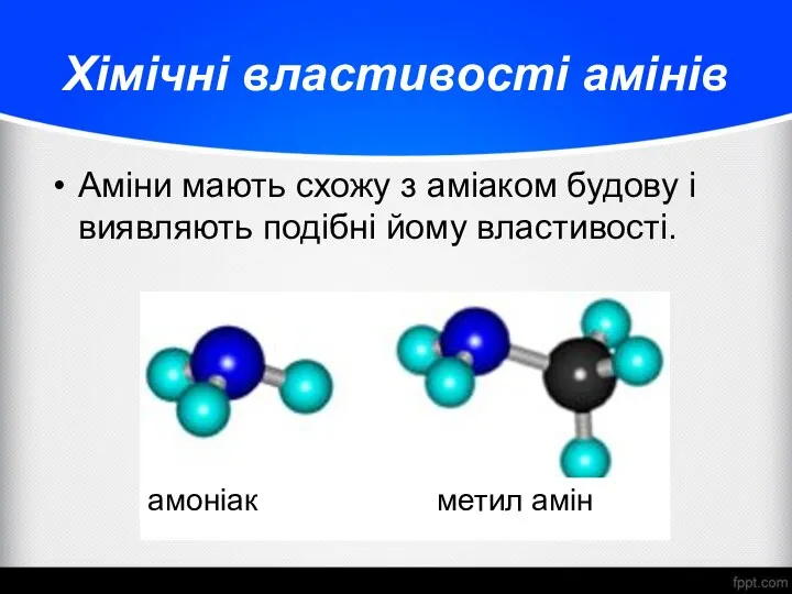Хімічні властивості амінів Аміни мають схожу з аміаком будову і
