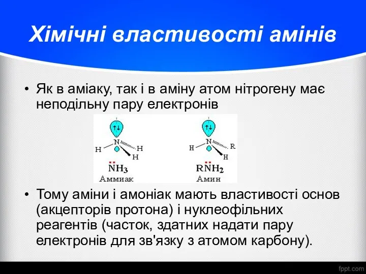 Хімічні властивості амінів Як в аміаку, так і в аміну
