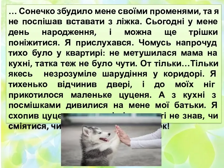 … Сонечко збудило мене своїми променями, та я не поспішав