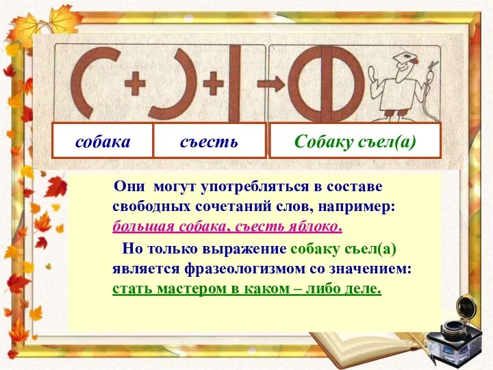 Они могут употребляться в составе свободных сочетаний слов, например: большая