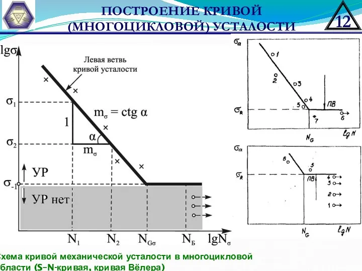 ПОСТРОЕНИЕ КРИВОЙ (МНОГОЦИКЛОВОЙ) УСТАЛОСТИ Схема кривой механической усталости в многоцикловой области (S–N-кривая, кривая Вёлера)