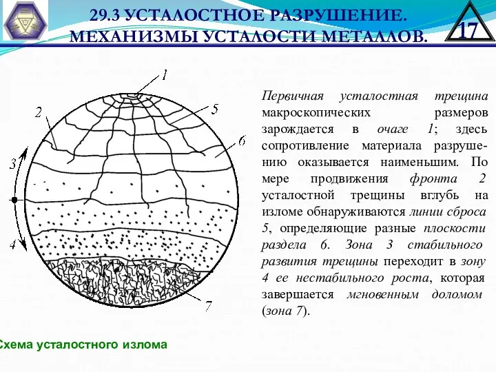 29.3 УСТАЛОСТНОЕ РАЗРУШЕНИЕ. МЕХАНИЗМЫ УСТАЛОСТИ МЕТАЛЛОВ. Схема усталостного излома Первичная